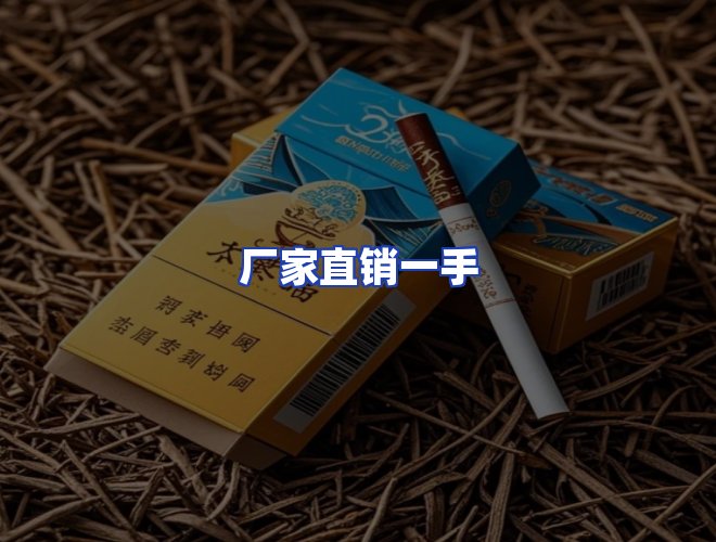 专业团队